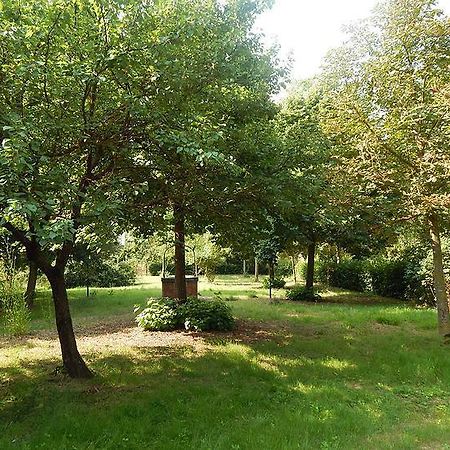 Apartament La Civetta Torrita di Siena Zewnętrze zdjęcie