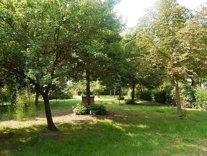 Apartament La Civetta Torrita di Siena Zewnętrze zdjęcie